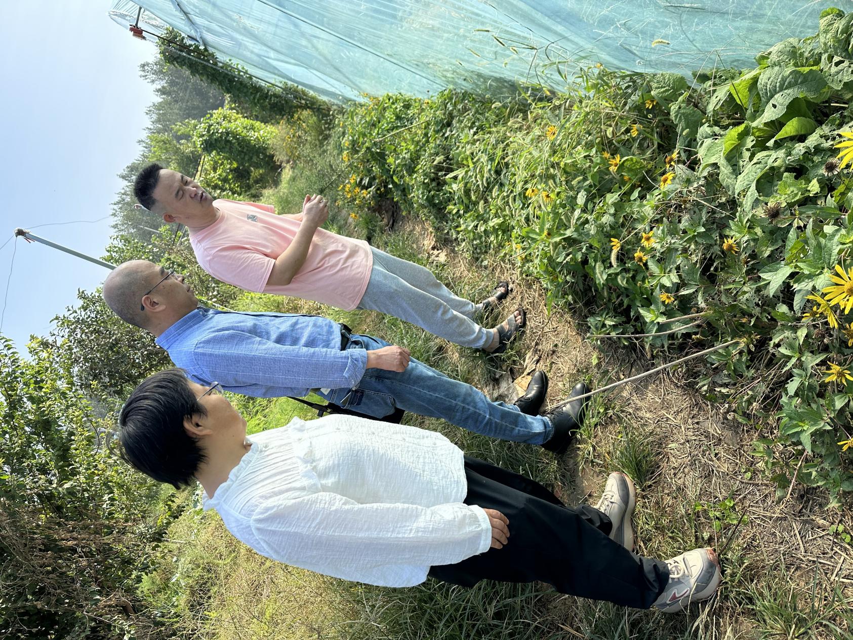 22a0f09a19855e869eb46503cb20b2c4